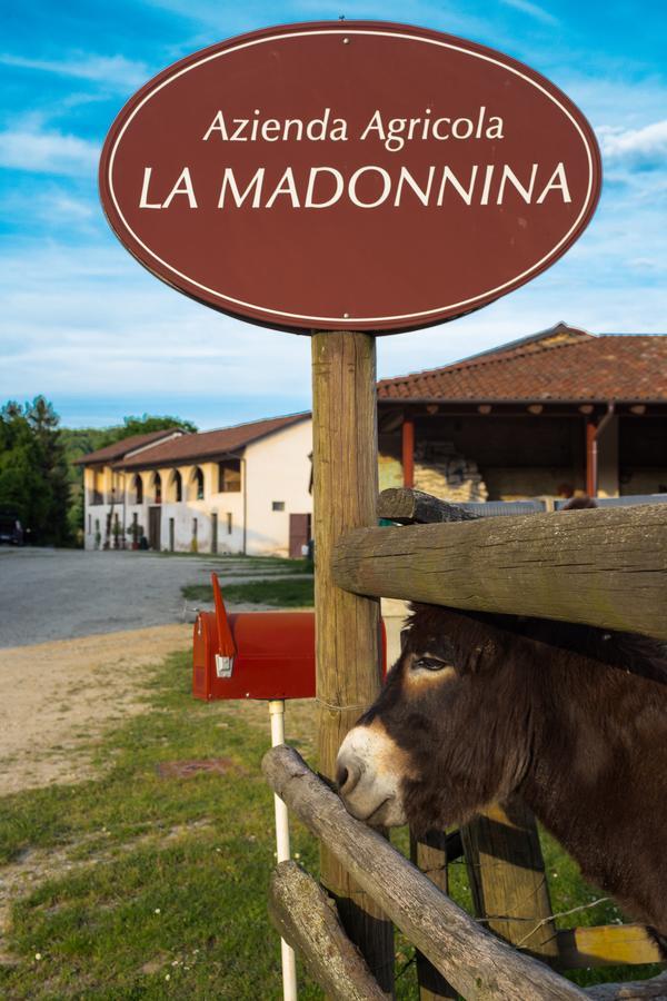 La Madonnina Agriturismo Dore Альба Екстер'єр фото